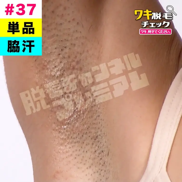 【単品販売】【脇汗】女子大生のワキ脱毛チェック 学生編#37（モデル：ハツネ）
シリーズ：ワキ脱毛チェック 学生編