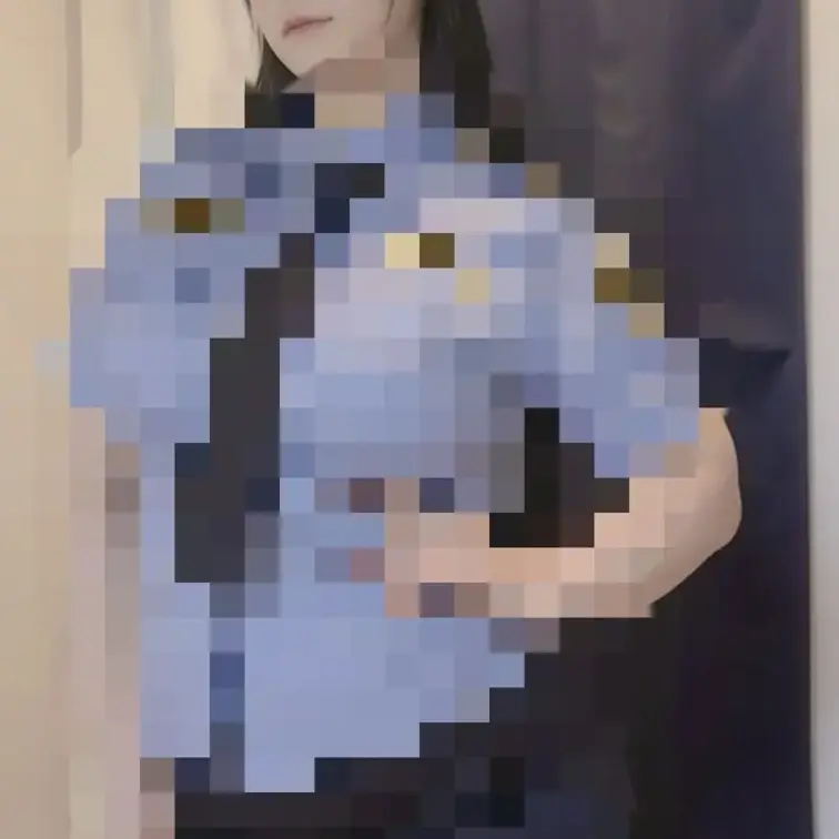 逮捕するよー👮