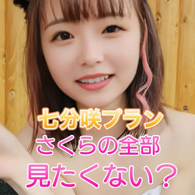 さくらの全部見たくない？