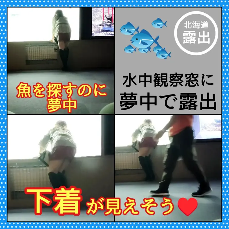 ♥️露出♥️北海道露出（3日目昼）
水族館で無意識露出

水中観察窓から鮭を見るミニスカ熟女
川底の鮭を見ようと