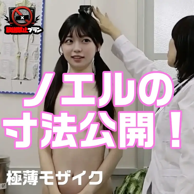 ノエルのサイズ気になりますか？