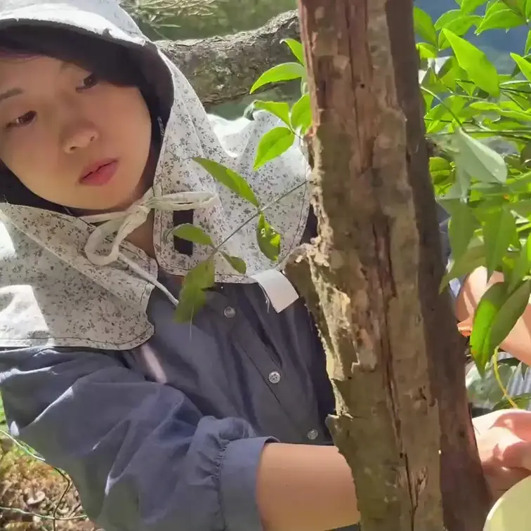 田舎シリーズ2025 ８月
むかごを採って食べる、聖水も収録
「この動画の収益は全て3月に90歳を迎えた祖母の御茶菓