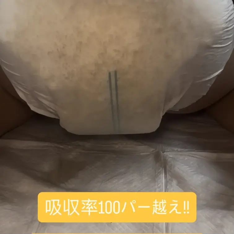 もう吸収できないほどおしっこを吸ったおむつにさらにおしっこしてみた♡