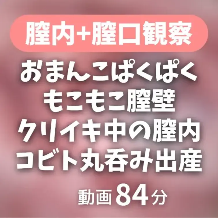 4/19♡試験管とクスコで膣内探検&クリイキする時の膣内&膣口とコビトさん丸呑み出産84分

今回はrplayでの初