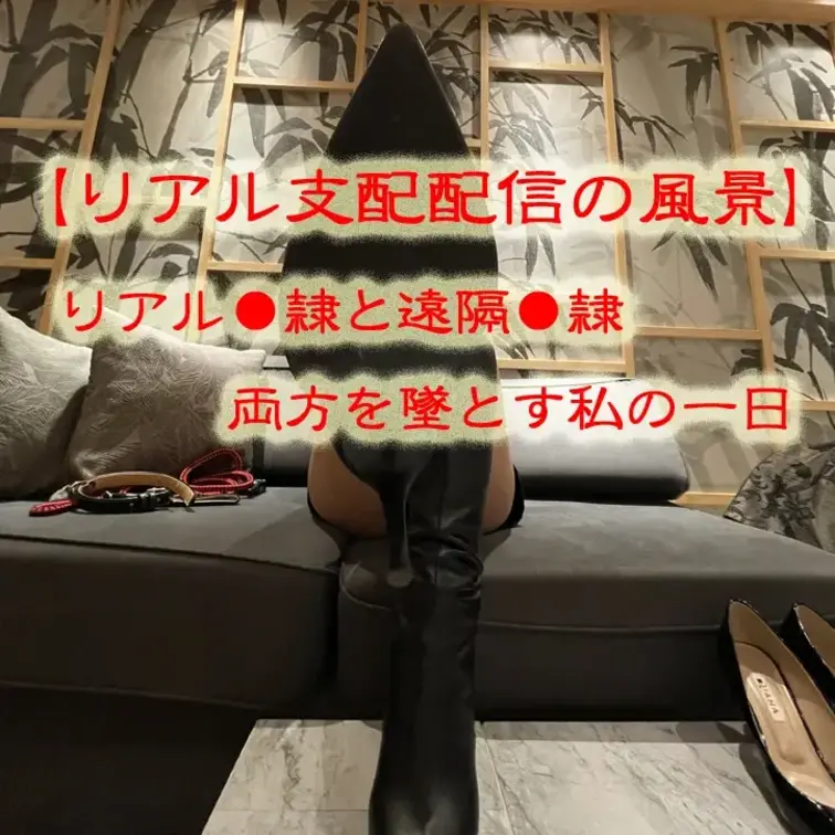 【リアル支配配信の風景】
リアル奴⚫︎と遠隔奴⚫︎
両方を同時に堕とす私の1日