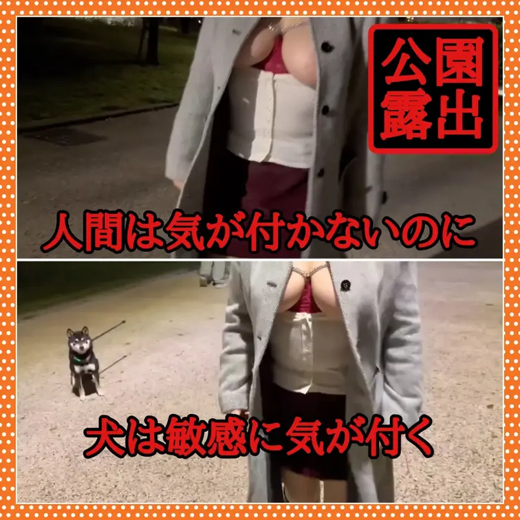 ♥️露出♥️人間は気が付かないのに

公園で犬の散歩をしている人がいた
乳首を露出しているのに気が付かない
なの