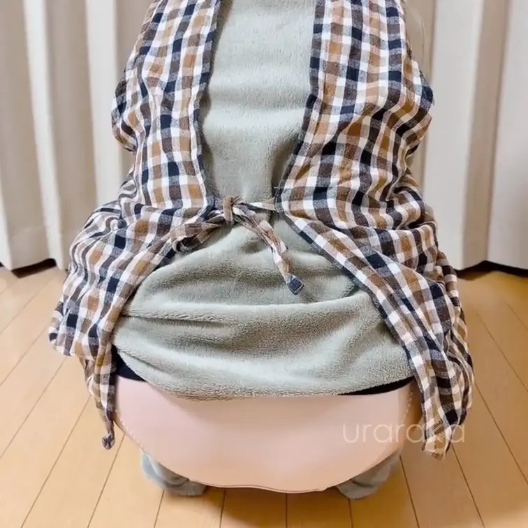 新生児に負けないくらいお昼寝しちゃった🌷💦
明日お兄ちゃんの部活で朝早いのに寝れるかな~🥹