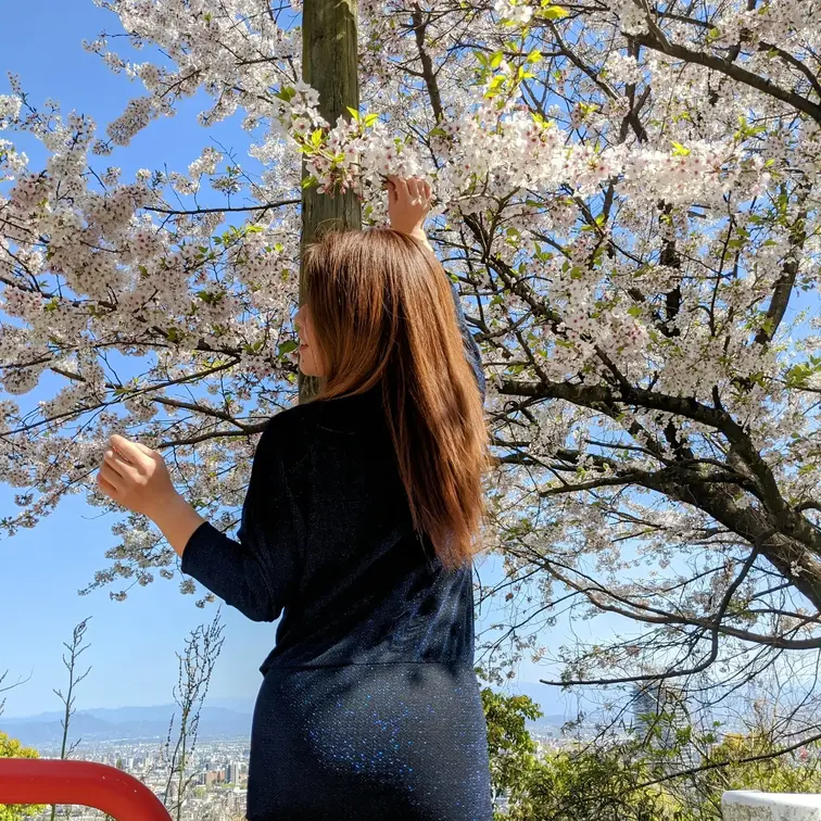 🌸満開🌸🌸🌸🌸🌸🌸🌸🌸
市内近郊の桜スポットで撮影💖