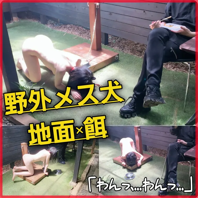 ☆お外でご飯

ご主人さまと一緒にお食事しました
もっと使ってもらえるように
がんばります

#○○○#ペッ