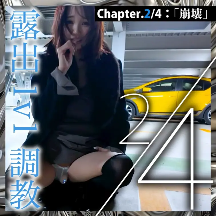 【サンプル動画】
高身長美人妻が堕ちる、解放のNTRドキュメンタリー第2弾。（3時間15分）

また、来てしまった