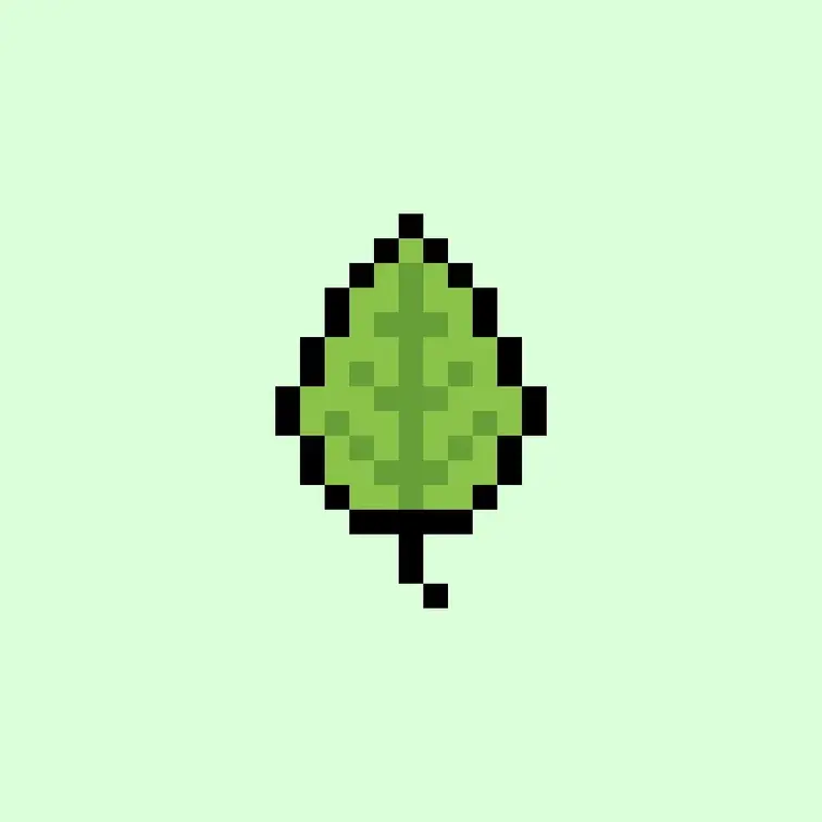 🌱 (1/2)