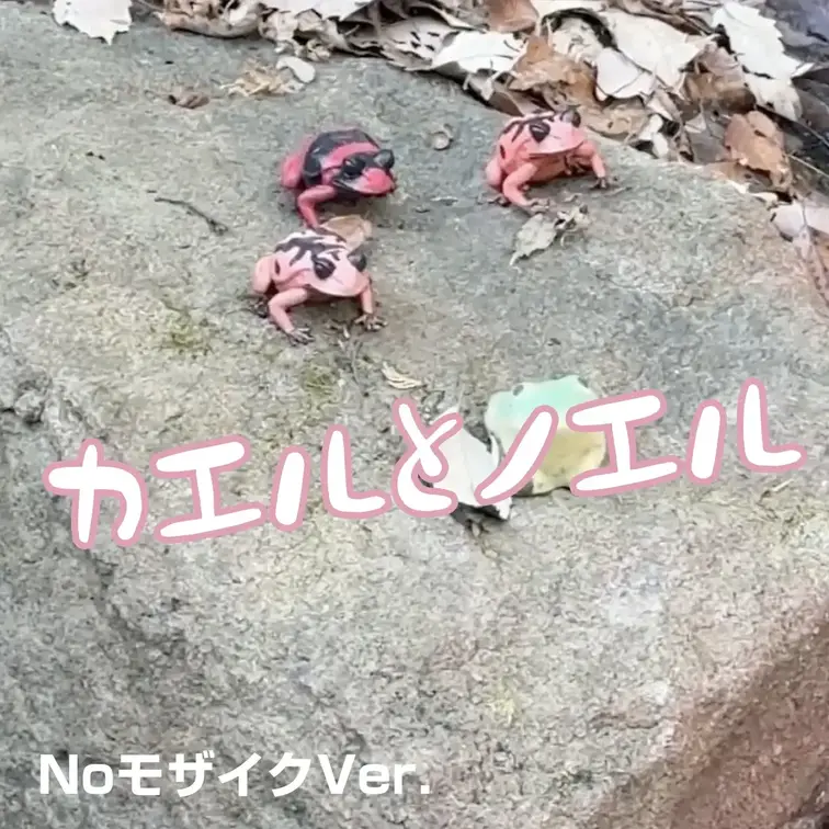 鬼怒川温泉で満喫！