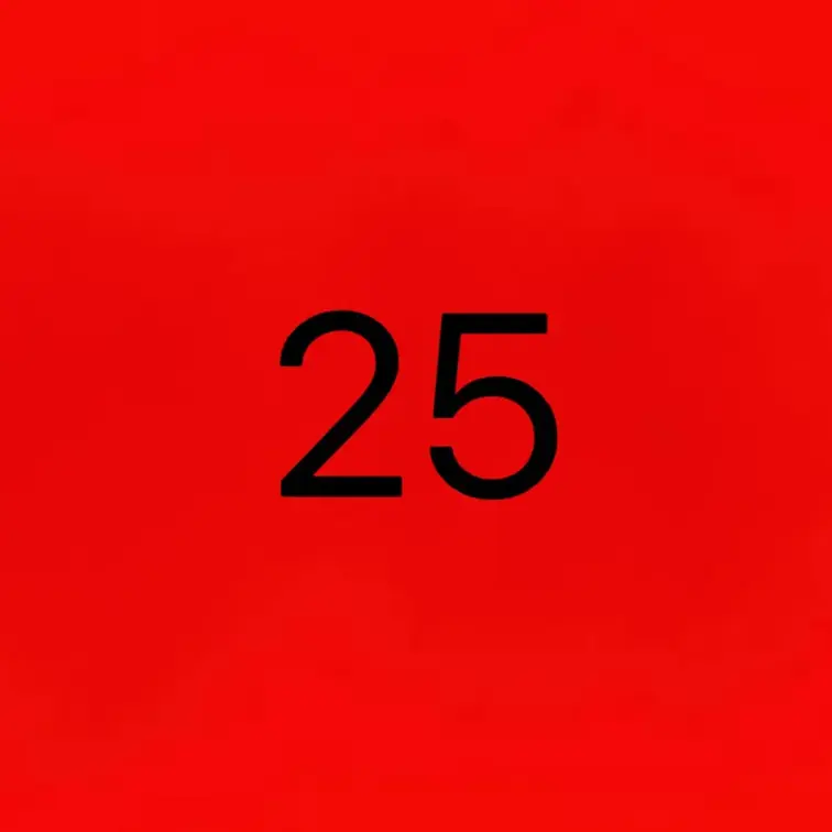 ２５ハメ