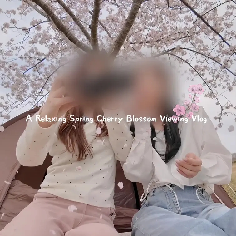 (English ver) 
A Relaxing Spring Cherry Blossom Viewing Vlo