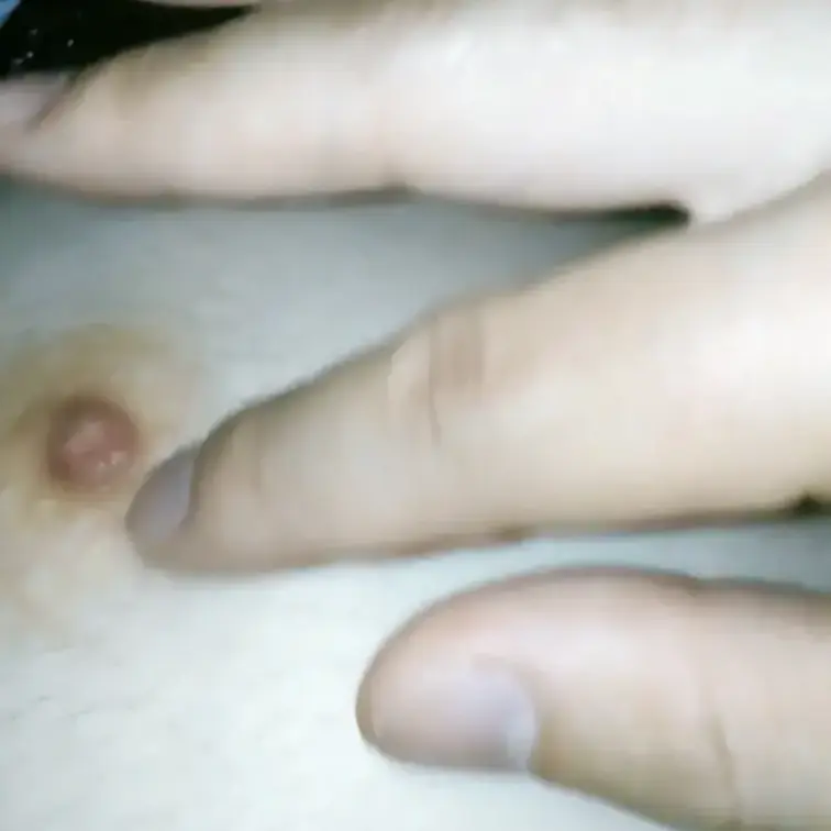 博多区諸岡でカーSEX。乳首が小さくまだまだこれから。
でもクリは立派なデカクリでした。テスト期間中の完全素人しほちゃ