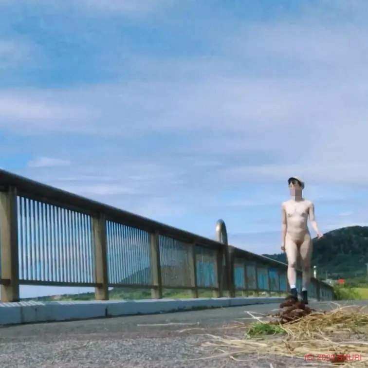 「このはし渡るべからず？ in 〇〇〜〇〇橋〜/These bridges shall be reserved for 