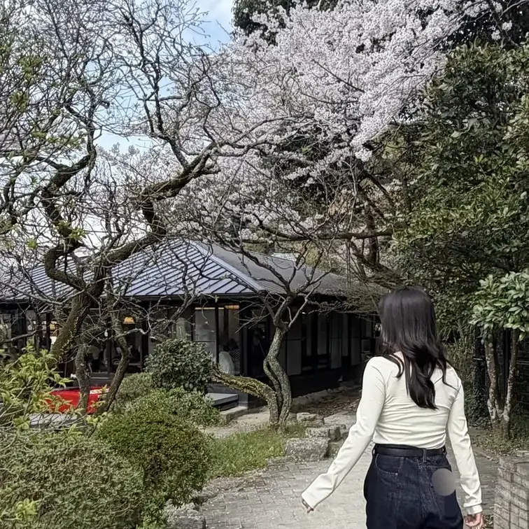 とある日の彼女　(お花見🌸編)