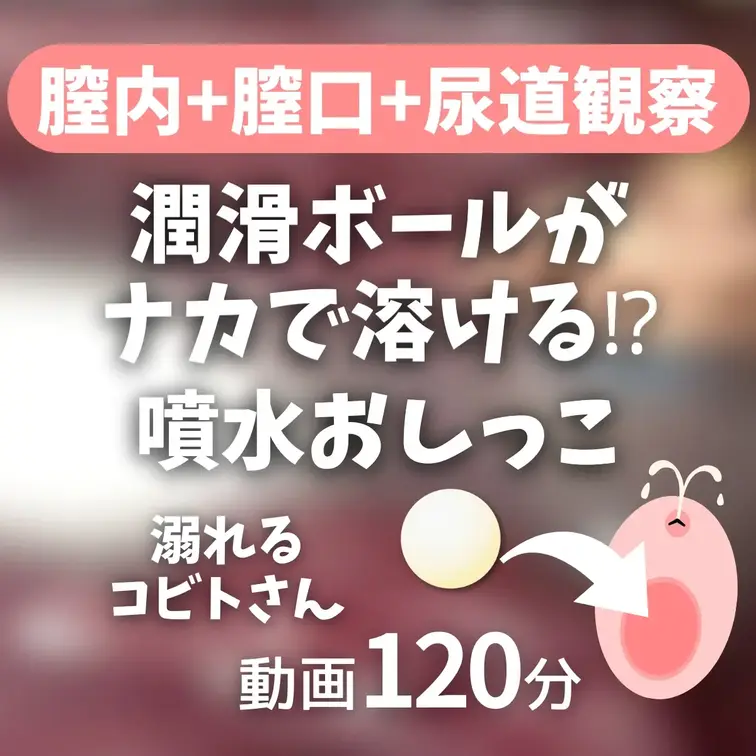 2026/2/28 アーカイブ　約2時間
膣内で溶ける潤滑ボールと大量尿道おしっこに溺れるコビトさん

今回やった