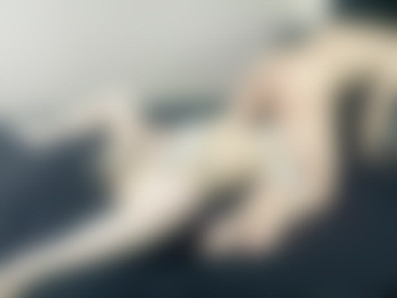 ディルドでせめられてからの生ハメ♡別視点 (2/2)