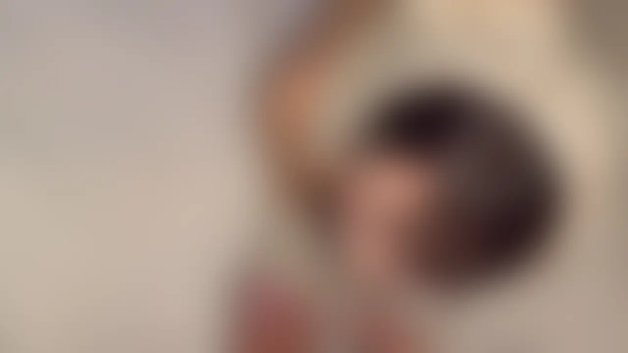 20万フォロワーのりおちゃんが四つん這いフェラチオで攻めまくる！
腰のくびれ、おっきなお尻見ながらフェラチオ！

最高でしょ！ (2/2)