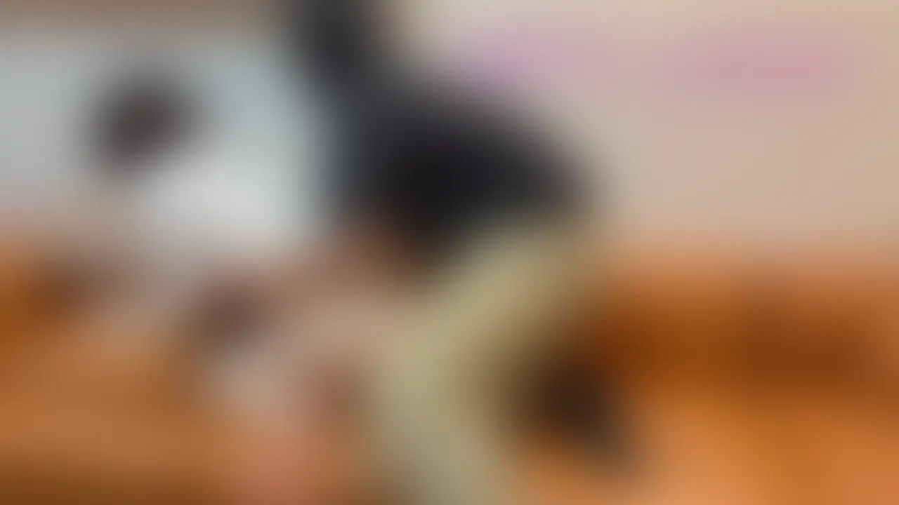 【最多リピ単独によるRE:NTR②】
動画登場回数NO.1
潮吹かせ回数NO.1
ま〇こ抜き差し回数NO.1
トリプル1をひっさげて久しぶりのNTR参加
単独さんの希望によりTENGAを裏返したイボイボでクリを擦るとヤバいらしいとのことで妻で実験
服を捲り上げて身動き制限し乳首とクリの同時責め
ヤバいくらい感じて
「ごめんなしゃいごめんなひゃいイクぅぅうう」
と叫びながら果てました… (2/2)