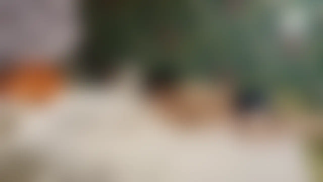 変態の元アイドル!口技で翻弄
半年越しに会えた唾液ねっとり変態美女1-6
乳首を唇で挟みながら先端を舐めるとやっと声が。気持ちいいことってホント人それぞれいろいろだから発見が楽しいし嬉しいですね。チュッチュッと乳首を引っ張って離したり…いろいろしていきましょうか。
おちんちん目の前にして舌を出してるのはかなりエロいですね。ちゃんと食べる前に言うこと言えるのは偉いね、手と口のコンビネーションで果てちゃいました
まだパンツ越しなのにこんな敏感になってます。足をつかんでロックしてるから動けないけど、揺れるおっぱいと共に興奮させてくれます。大きい電マを当てた瞬間大きすぎる声が、電マを横向けに当てる楽しさ教えてくれました
クリ周辺を吸ったり舐め上げてウォーミングアップしてからひらひらを舐めてます、そしてやっとクリ。
ちゃんと舐めてほしかったら脚はどうするのかな?
ちゃんと開いてくれたおかげでめっちゃ舐めやすいよ。ありがとう。
でもずっと開いてるのは大変そうだから道具使いますね?
吸うやつ当てた瞬間の声に注意してください。やってるうちに声がそんなに出なくなってしまいましたね。
ちゃんと当たってるか見てみましょうか。やっぱりズルしてたな?笑
もうしっかり当たるようにしてずっと見てるね。体をねじったり伸ばしたり激しい動きしてるけどどこまでも追い続けますよ?笑
吸うやうを自分で挟み込んでくれてます。でも時折ずれるからちゃんとチェックしとかないとね。
ギブって言うからスイッチ止めてあげようとしたけどしっかり挟んでるから手が入れられませんねー。どうしましょうか。
とりあえずそのまま当てときましょうね?笑
次はミニ電マです。きつく当てるほどヤバいのに自分から挟みこんで離さないなんて変態。ガチガチに固めてもめちゃくちゃ動いて意味なさなくなったから後ろに逃げられないように壁に座る体勢にしました。
勝手にイッちゃうのはあかんよね?笑
寝ててもすぐに起こして追撃。うぅーってうなり声はもうなりふり構ってられなくなったんですね。
そして完璧に逃げられない姿勢にして電マで遊んでます笑 (2/2)