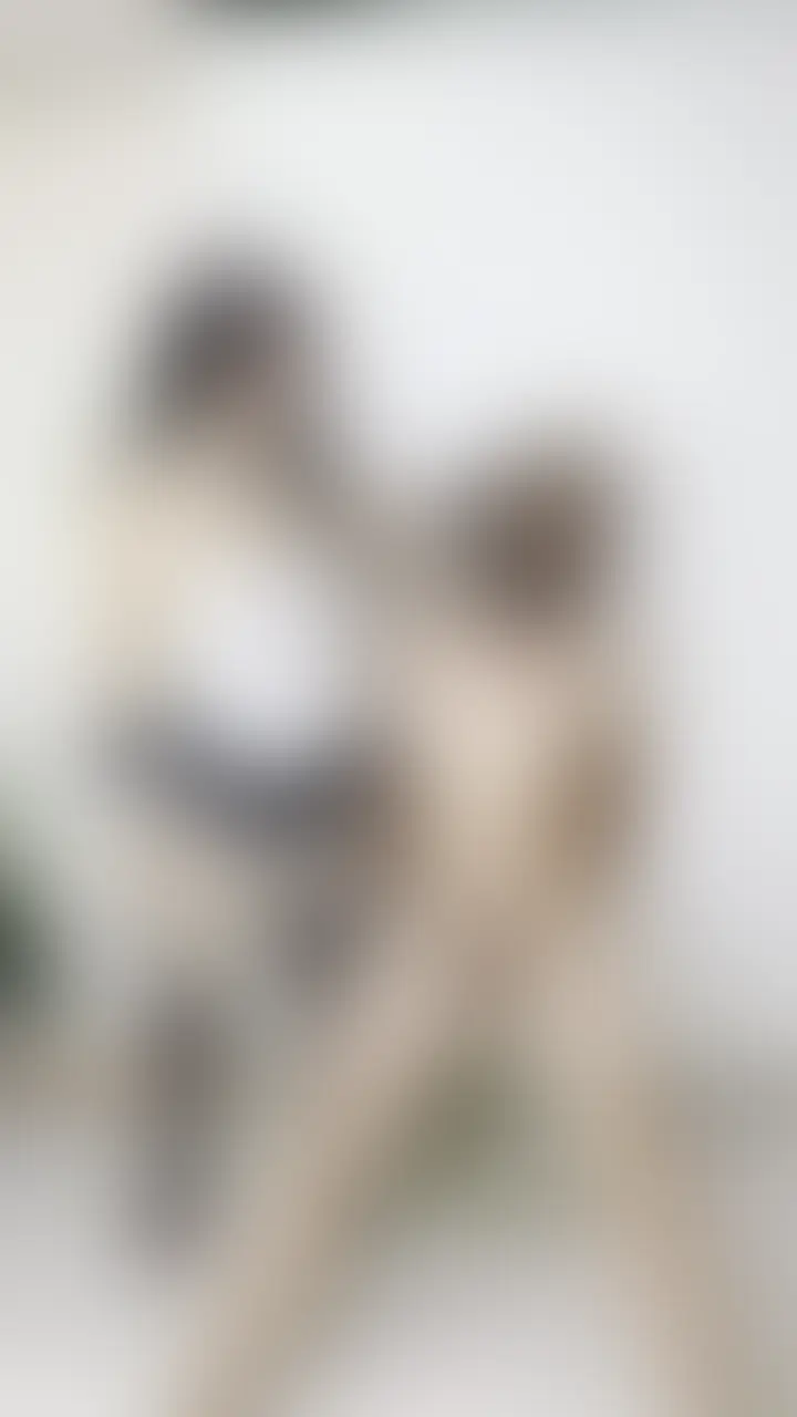 メイドコスプレでペニバン、顔射💦いいね!、コメントしてね💌 (2/2)