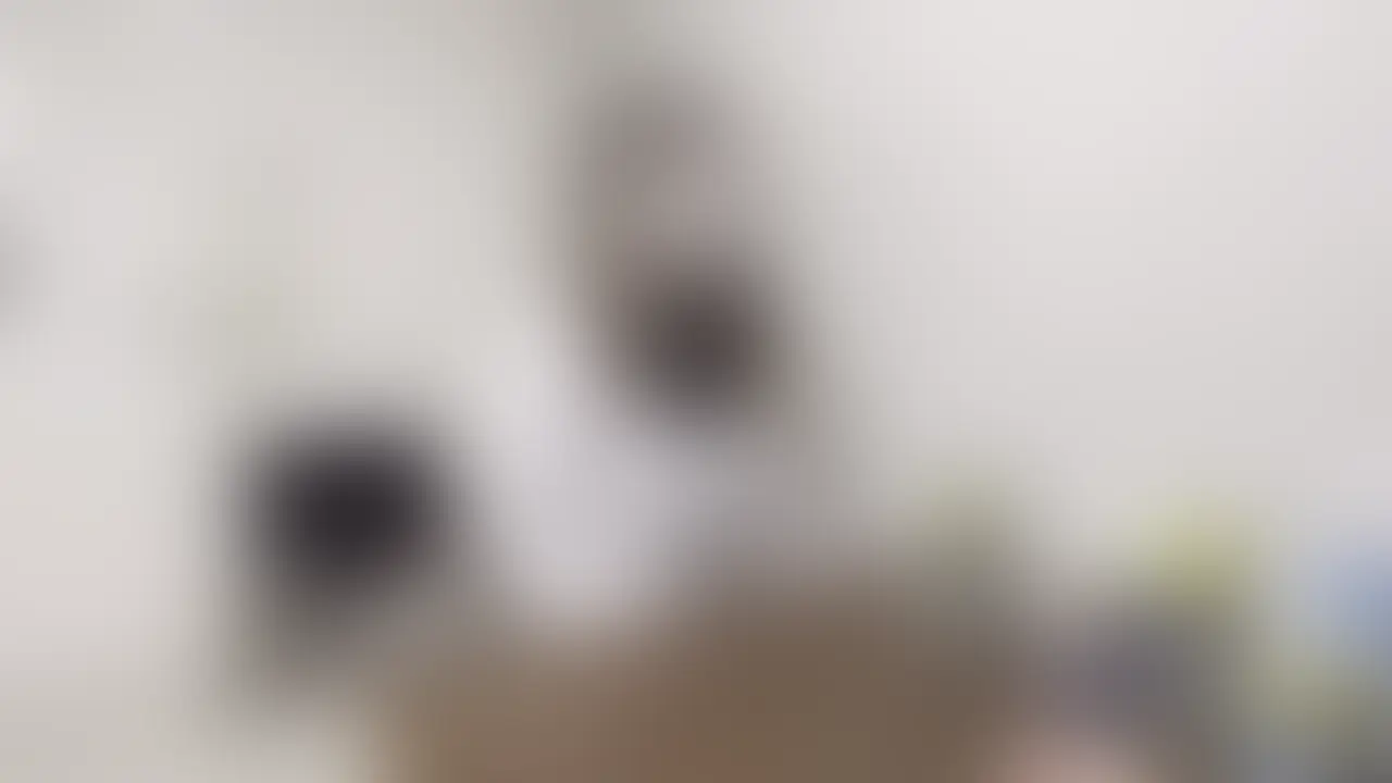 陰キャGカップさちさん、ボソボソ声がエロい喘ぎに変わる瞬間
静かで内気な印象のさちさん（20代半ば・Gカップ）。
インタビュー中は目を合わせず、小さな声でボソボソと答える姿がとても可愛らしい。
でも本音を掘り下げていくと…
•  「彼氏なし5年目…面倒くさいけど、エッチはしたい」
•  経験人数約20人、セフレもキープ中
•  「責められるの好き…特に焦らされるのが興奮する」
普段の陰キャっぽい控えめな雰囲気とは裏腹に、
撮影では焦らしプレイで身体を敏感に反応させ、
我慢できなくなった甘い喘ぎ声が次々と漏れ出します。
Gカップの柔らかい感触をじっくり味わいながら、
ゆっくりと追い詰めていく過程でみせるギャップが最高に魅力的。
インタビューシーンだけでも、彼女の恥ずかしさと本気の感じ方が伝わる内容です。

内気な子が少しずつ感じてしまう様子、ぜひチェックしてみてください。

本編はこちら。
https://myfans.jp/posts/90b2e8a6-965a-4d1a-a5fe-62b5f7c3a866?swipe=1&sort_key=publish_start_at (2/2)