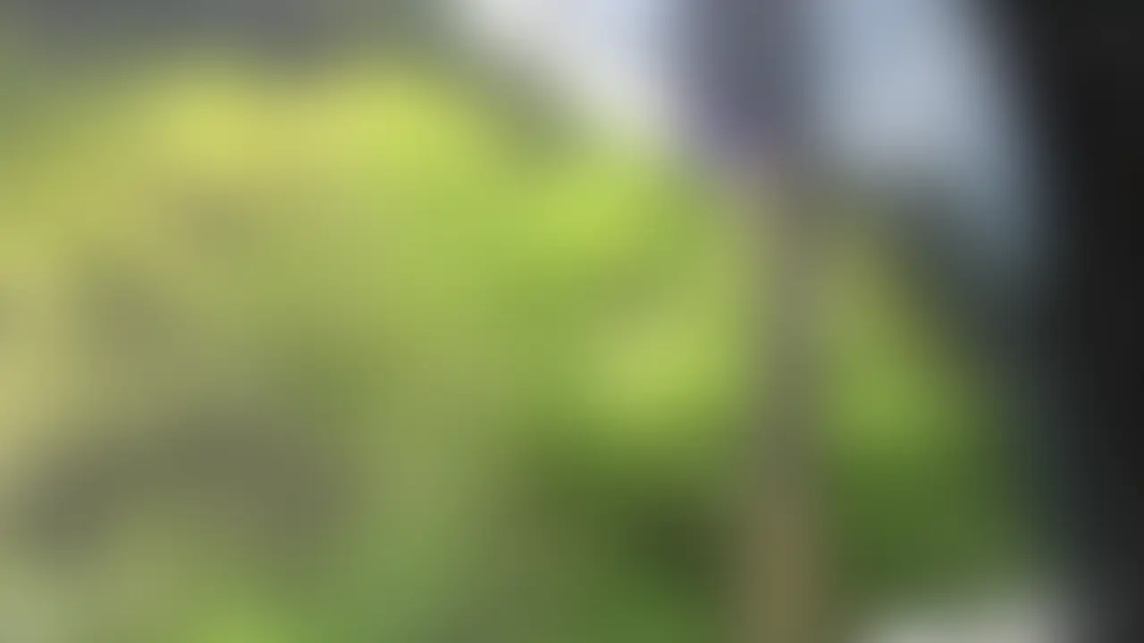 【English ver】Farm date vlog︎︎🐄•¨•.¸¸︎︎︎︎❤︎
It was a day spent feeling close to nature🌳 (2/2)
