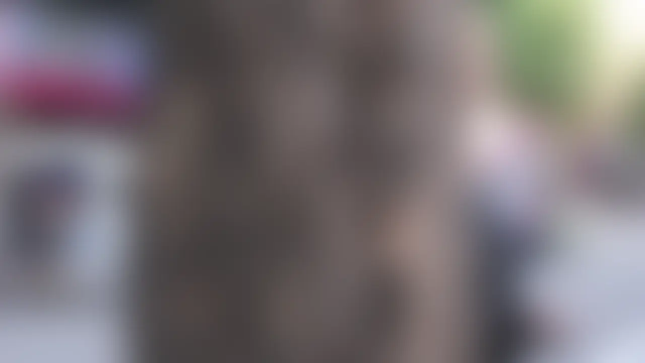 金髪の〼リギャルさんに、神聖なJ〇セーラー服に着替えていただき、生でハメる動画です。
普段は地雷系の雰囲気を持った子ですが、制服姿に着替えた瞬間からスイッチが入り、子宮を激しく突き上げました。最初は少し抵抗を見せていたものの、徐々に体をガクガクと痙攣させながら何度もイキ果てる様子が印象的でした。
敏感な乳首を刺激しながら容赦なく突き上げ続け、理性が溶けていくような状態になったところで、最後は人生で初めてザーメンを口内に受け止めてもらいました。飲み込めずに口から溢れてしまったものの、お掃除フェラを丁寧に強要し、すべてを舐め上げて飲み込ませるまで口を塞いでいました。
本編は1時間10分で、ただの器として扱い、徹底的に堕としていく過程を長尺で記録しております。 (2/2)