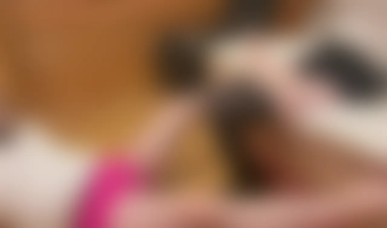 キャバ嬢みぃ〜ちゃん、ニーハイソックスで美脚遊戯(8分18秒)
足フェチM男の、リクエストで1日履いたニーハイソックスでM男と遊んであげたよ。顔に足を載せてあげると幸せそうにするM男。股間を蹴ったり、踏んであげたり、電気アンマしてあげたり、すりすりしてあげたり。M男は、大喜び。私の足の虜になってたよ。 (2/2)