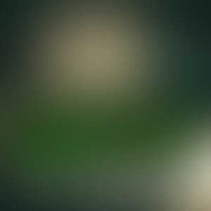 🍒○○○アーカイブ2/24🍒
2023年2月24日の○○○配信のアーカイブになります♡
※DL可能期限は、投稿後100日間となります。
🍒○○○ archive 2/24🍒.
This is a handsome archive of the February 24, 2023 ○○○ distribution.
*The deadline for DL availability is 100 days after posting. (2/2)