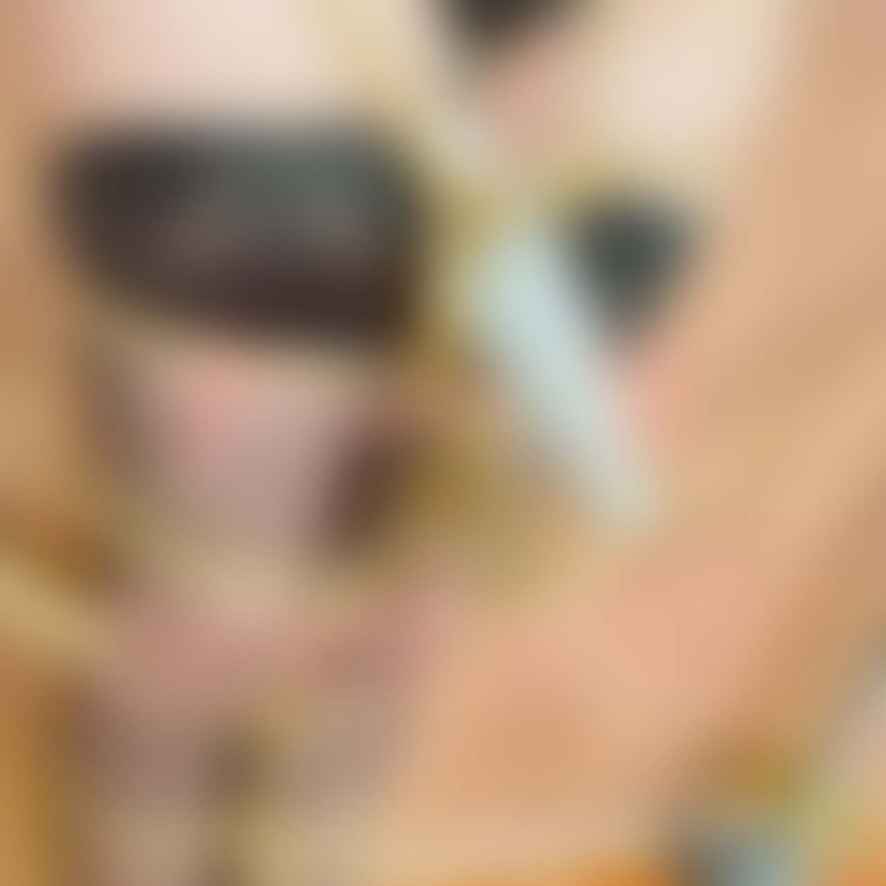 【シーン６】ナース全身縛り
[Scene 6] Nurse full body bondage (2/2)