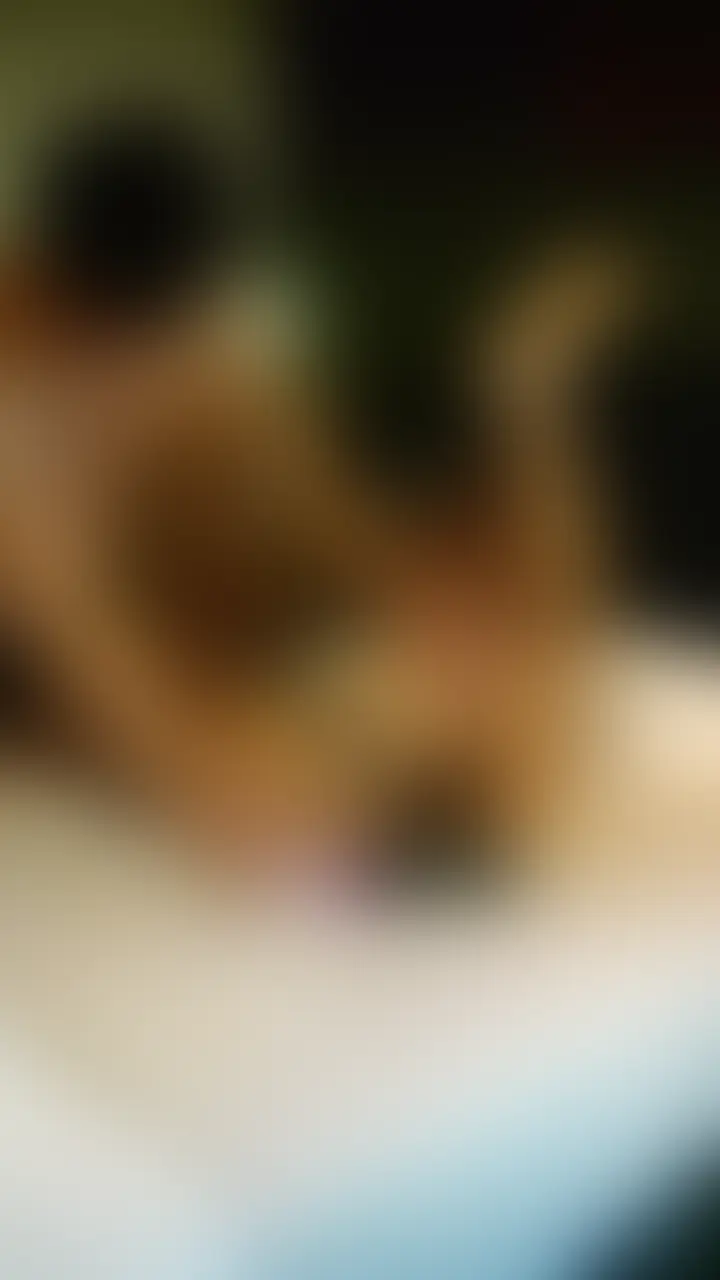 【前編】５０分耐久！連続ケツイキスポーツセックスで、失神寸前🥺 sample 1