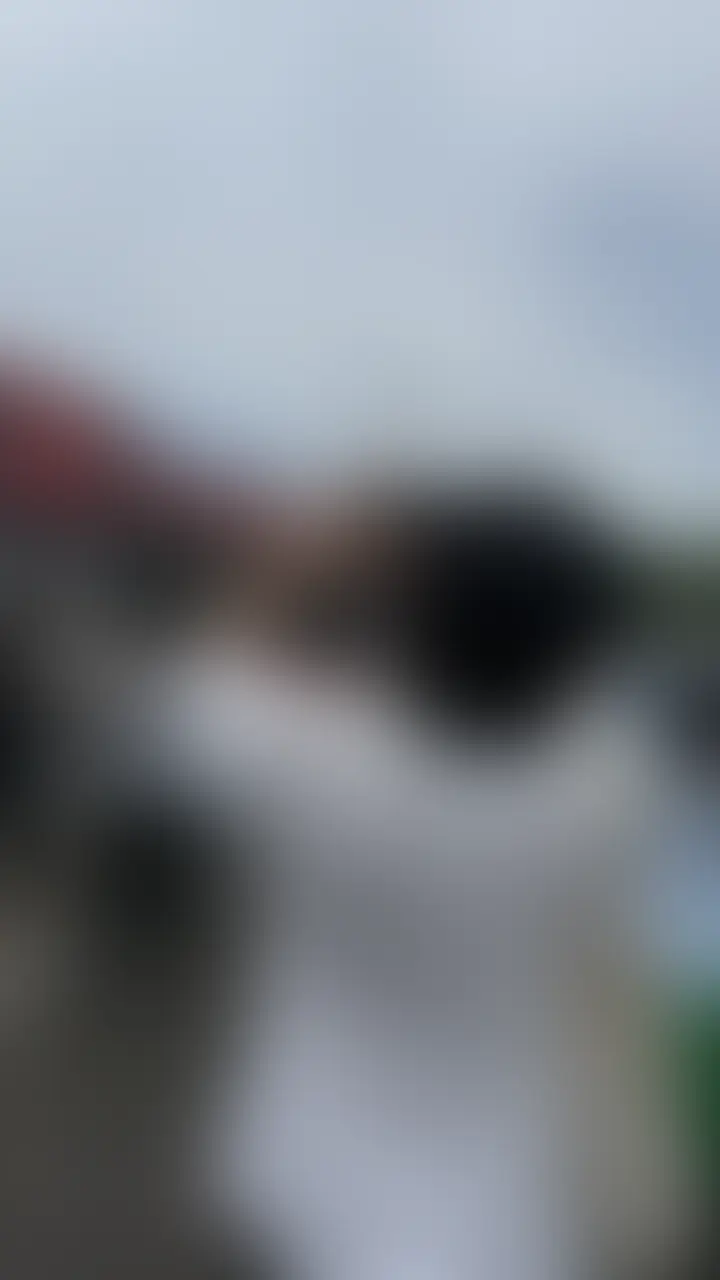この間けいくんとロッキン行ってきたときの画像！ sample 3