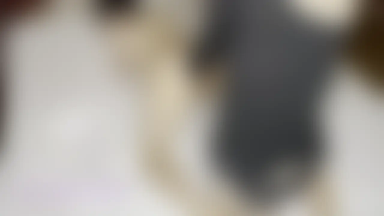 82【ペニバン寝バック】
身動き取れない状態にして、前立腺押し潰すの大好き♡ (2/2)