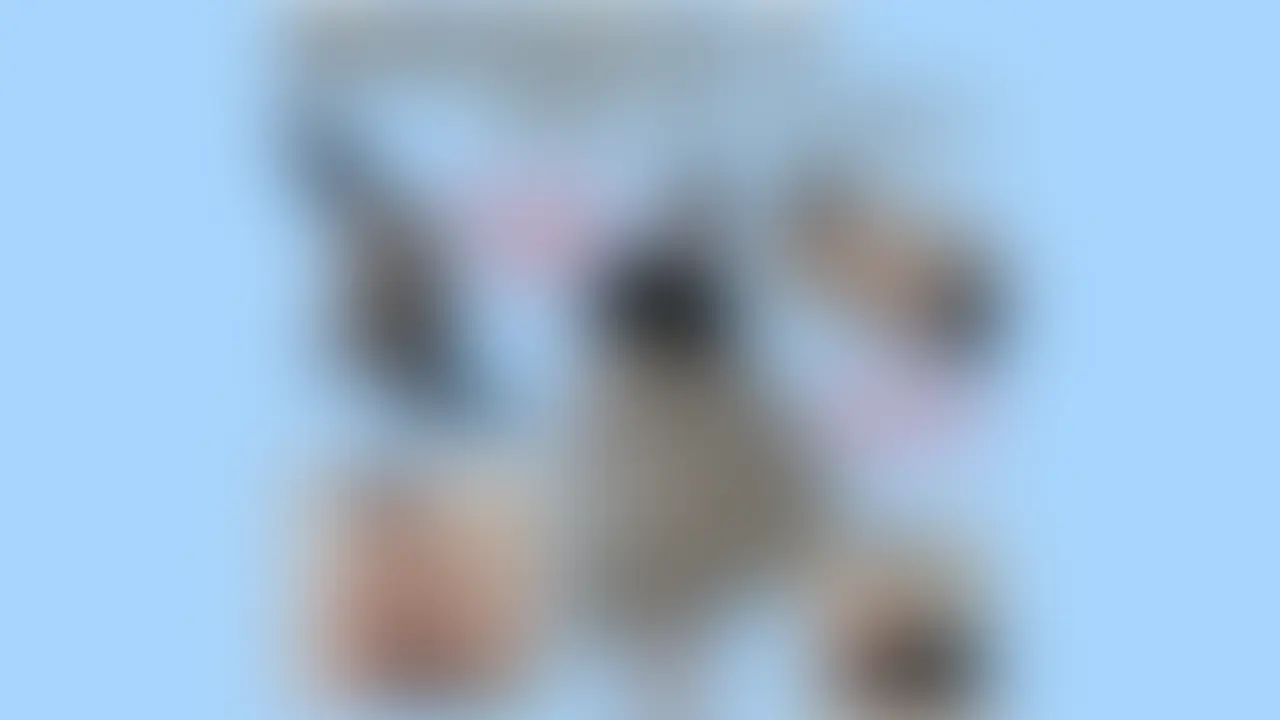 爆音放屁女子(可愛い系スカ女優2)
S女がM男の顔面に臭いおならをぶっかける!
むっちりモデルのオナラは爆音悪臭! (2/2)