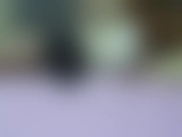 【本編完全顔出し】
case.022 今日はこの子で抜きます。笑顔がキュートだからです。
撮影時期:2006年ごろ?
名前:??ちゃん
年齢:1☓歳
性格:サバサバしているが意外と寂しがり屋。
――――――――
いや、笑顔が可愛すぎる。身体も少しプ二ッとしててソソラレル...。
サバサバしてるのかと思いきや、まさかの寂しがり屋。
そこに漬け込んでデカチンコでヒーヒー言わせてるの滅茶苦茶シコい。
やっぱ平成●k女子最高すぎる...。 (2/2)