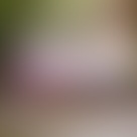 #21「右腕のあざの訳を僕は聞かない・・・」(;_;)看護師コスプレで最後の撮影となりました。
大手出会い系サイトで出会った女性。やり取り含めかなり時間を要したのを思い出します。1度会って断られてますしね。紆余曲折あったのですが、何とか撮影までこじつけたのが何か懐かしい。
さて今回は1作目の
#02沙羅・23歳★「有村〇純似」初撮影・脱いだら凄いんです!!大手出会い系サイトで出会った!綺麗なおま〇こ・美乳に出演いただいた。とても目力のある、美容師をやっている女の子。
どことなく有村〇純ちゃんに似ていて超可愛い♡というか美人(ぼかしていてもわかりますよ!)
今回2作目にして最後の作品となってしまいました。文末に最後になってしまった訳に少しだけ触れています。
【プロフィール】
名前 :沙羅ちゃん
年齢 :23歳
誰似 :有村〇純
職業 :美容師
身長 :168㎝
バスト :F cup
陰部毛 :パイパン
彼氏 :居ないと聞いていたが、居たんだね。
ハメ撮り:2回目
【作品内容】
さてそんな最後の撮影となってしまった、今回の作品。
沙羅ちゃんには看護師コスプレに挑戦して貰いました。妙に似合う!やっぱ綺麗な方は何着ても似合いますな~
序盤はクンニと念入りに穴をほじくっていきます。
どうもクリトリス弱いみたね
中盤からはフェラ・バック・騎乗位へと続きますが、相変わらずぎこちない動きが逆に興奮しますね。撮影2回目なのでご愛嬌
最後は正常位でFINISH
「疲れるんじゃ無いですか~?」と気遣ってくれる優しい沙羅ちゃん♡これが最後の撮影になるなんて(;_;)
でもプライベートで色々あるんだな。もっといっぱい撮りたかったよ。
【最後になってしまった訳】
昨年一度だけ沙羅ちゃんに連絡は入れてみたのですが、既読にはなりましたが返事が返って来る事はありませんでした。
その訳は今回の動画の右腕のあざが何かしらの関係がある事を私は今回の撮影の終わりに感じていたのです・・・。
その事は気にはなっていたのですが、あえて触れてはいけない気がして私からは一切話はしなかったです。
・・・が帰りに食事をしてた時にその事を打ち明けられました。
どうも現在お付き合いされている方と何かしら揉めていて、稼いだお金の殆どを持っていかれ生活もままならない状況でこの時の撮影に至ったそうなんですよね。
撮影の時は平静を装っていたのか、この時ばかりは涙ぐんでいて少しいたたまれない状況でした。
でもお仕事ではいくらでも協力は出来るのですが、プライベートにまで口を挟む訳にはいかず
それ以上は・・・私はただの変態ですからね💦
(blogの方ではもう少し詳しく記事にしています。)
ひじょうに撮影も楽しみにしてくれていた方だったので凄く残念です。
元気にやってくれてると良いんだけどな。
この事が何かの因果関係で返事が貰えないのかは定かではありませんが、何かとても気になりましたね。
そういった理由もあり沙羅ちゃんの作品はこれが最後となります。とても綺麗な女性で撮影も初めてで、楽しんでくれていたのでずっと続けてくれると確信していたのですが残念でなりません。
これで見納めですので楽しんで下さいネ!
#素人 #個人撮影 #美人 #巨乳 #巨尻 #可愛い #ぽっちゃり #開脚 #ハメ撮り #フェラ #騎乗位 #クンニ #コスプレ #正常位 #出会い系 #ラスト (2/2)