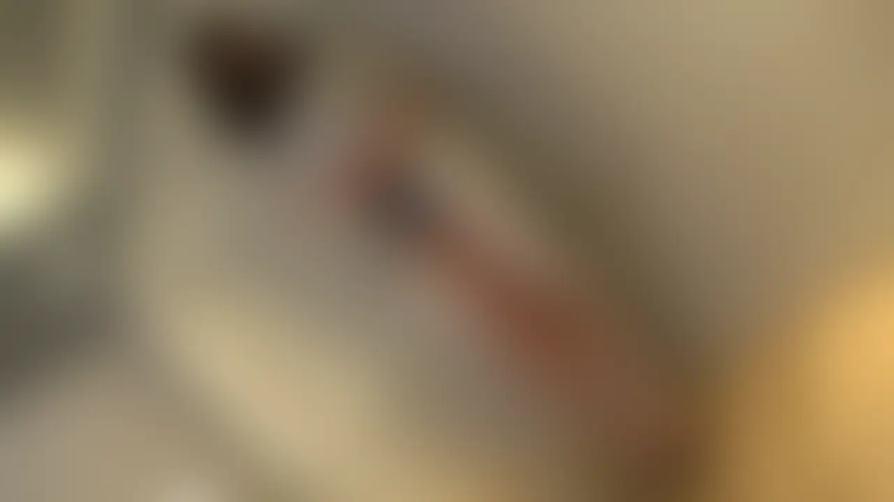 MyFansでの投稿開始、祝・1周年!!🐶
これまでのベスト100を皆様に特別価格でお届け❣ (2/2)