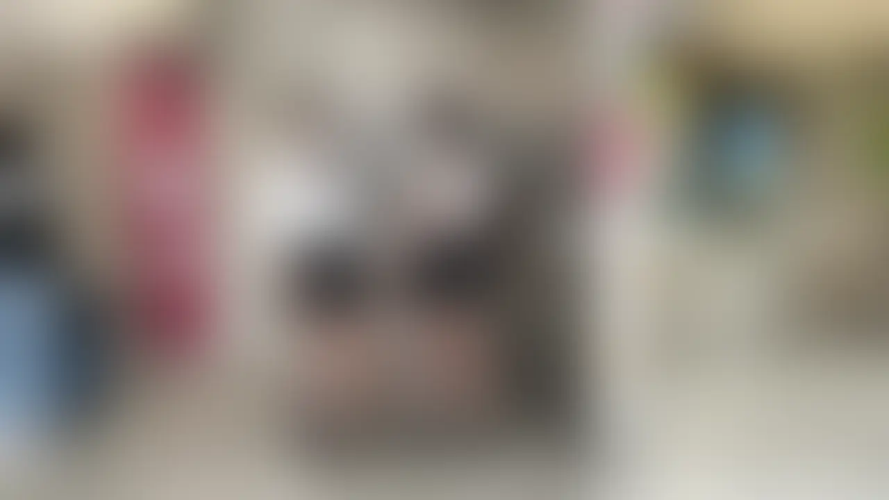 ※3月フォロワー増プレゼント企画実施中 最後まで見てください
【歴代ナンバー1の売上!美女!エロさ!大人気あゆの総集編!】
※圧巻の5時間28分収録永久保存版※
みなさん!3/17にリリース予定の「ダブルNTR3」を前に昨日の「いつでもやれる社員」とこのあゆ総集編3部作を見て予習しといてくだいね!
この4つを見てから17日のダブルNTR見たらかなり興奮しますよ!
歴代最高のかわいさ!エロさ!売上!の大人気のあゆの3作分5時間28分を大いに堪能してくださいね!
🎁フォロワー獲得プレゼント企画実施中🎁
この動画に【いいね】と【ブックマーク】と【あゆ1】とコメントしてくれた人の中で抽選3名の方にこの動画のあゆとあゆの友達制服H動画のダウンロード版動画をDMにてプレゼントします
プラン加入者、未加入者関係なく【フォローしてくれた人+上記3つやってくれた方】の中から抽選致します
何卒よろしくお願い致します
フォロワー限定なので、フォローもお忘れなく!
タグ
NTR パンチラ 素人 個人撮影 学生風 パパ活 手コキ
下着 フェラ エロ スレンダー 美女 おっぱい 生ハメ
美乳 ハメ撮り 射精 中出し 顔出し (2/2)