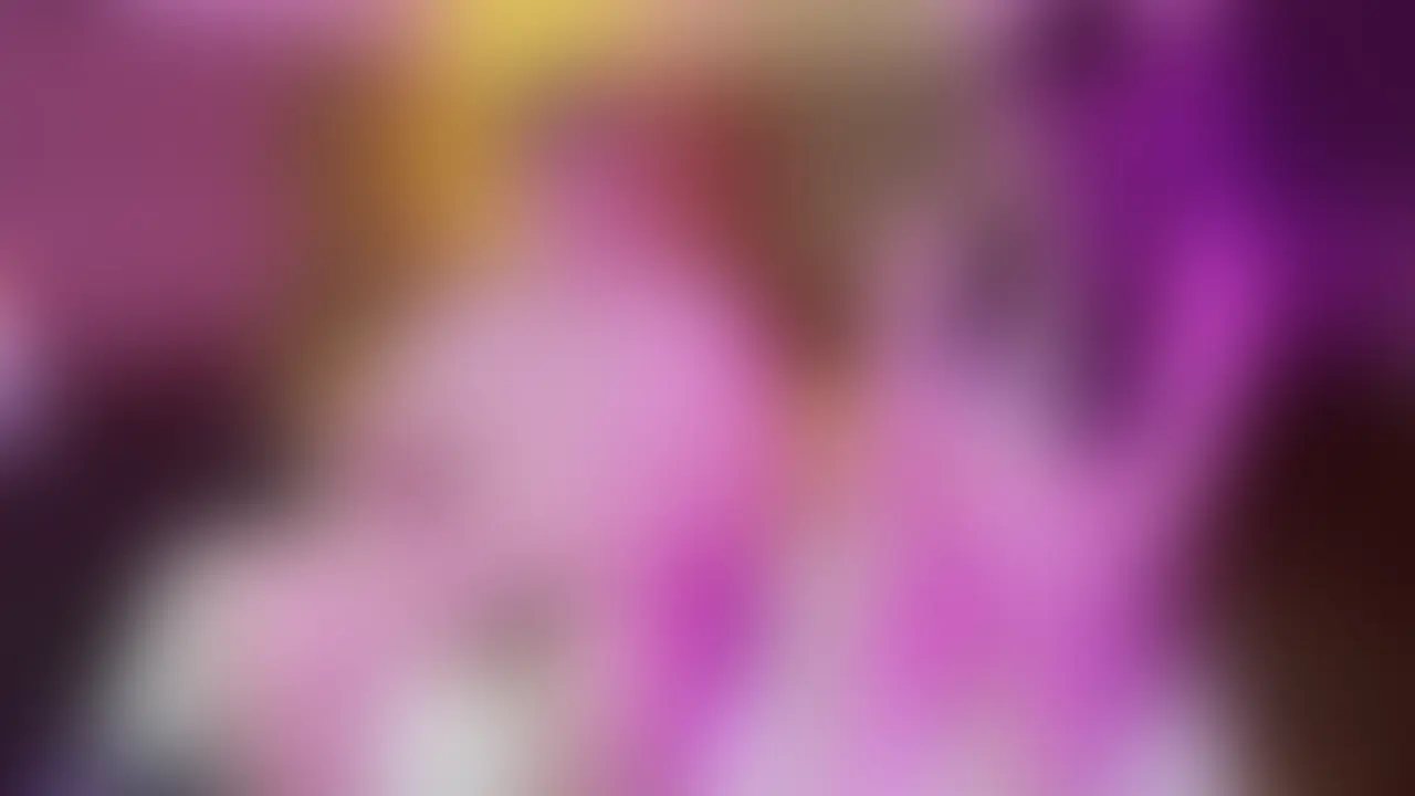 【総集編】DebuDote (2/2)
