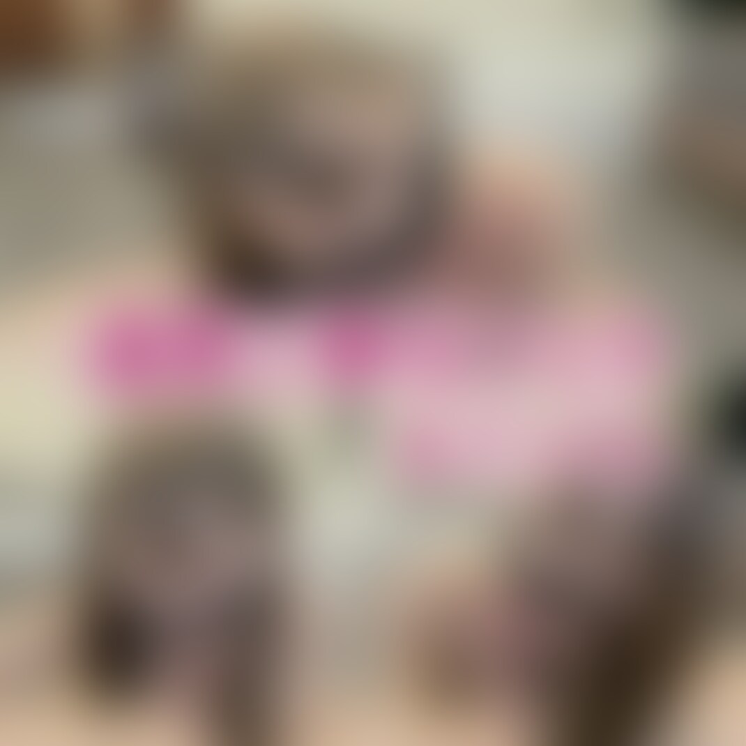 愛情たっぷり♡濃厚ご奉仕フェラ。 (2/2)