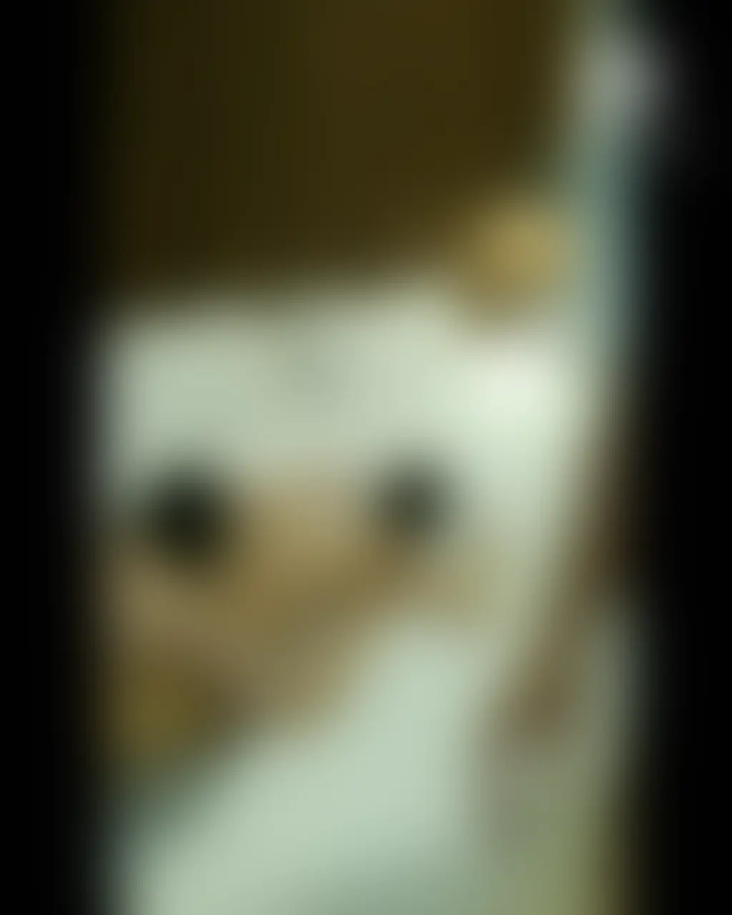 【単品購入希望】動画約15分 sample 1