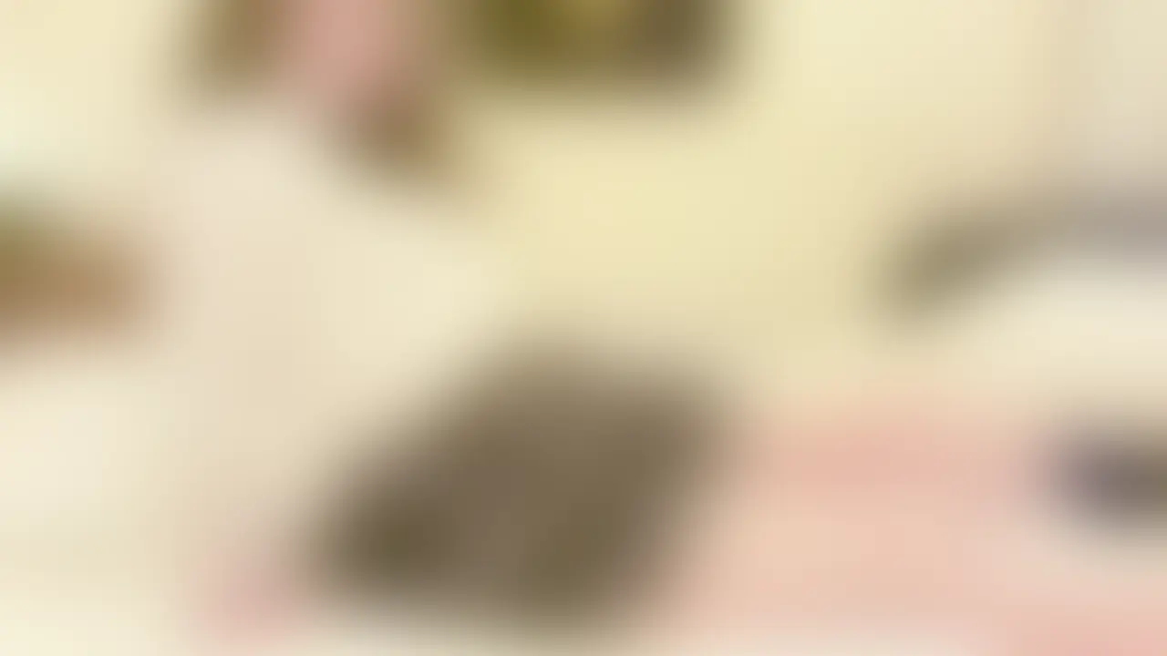制服姿で生エッチ、中出しされちゃった💕
フルバージョンはここでしか見れません💕 (2/2)