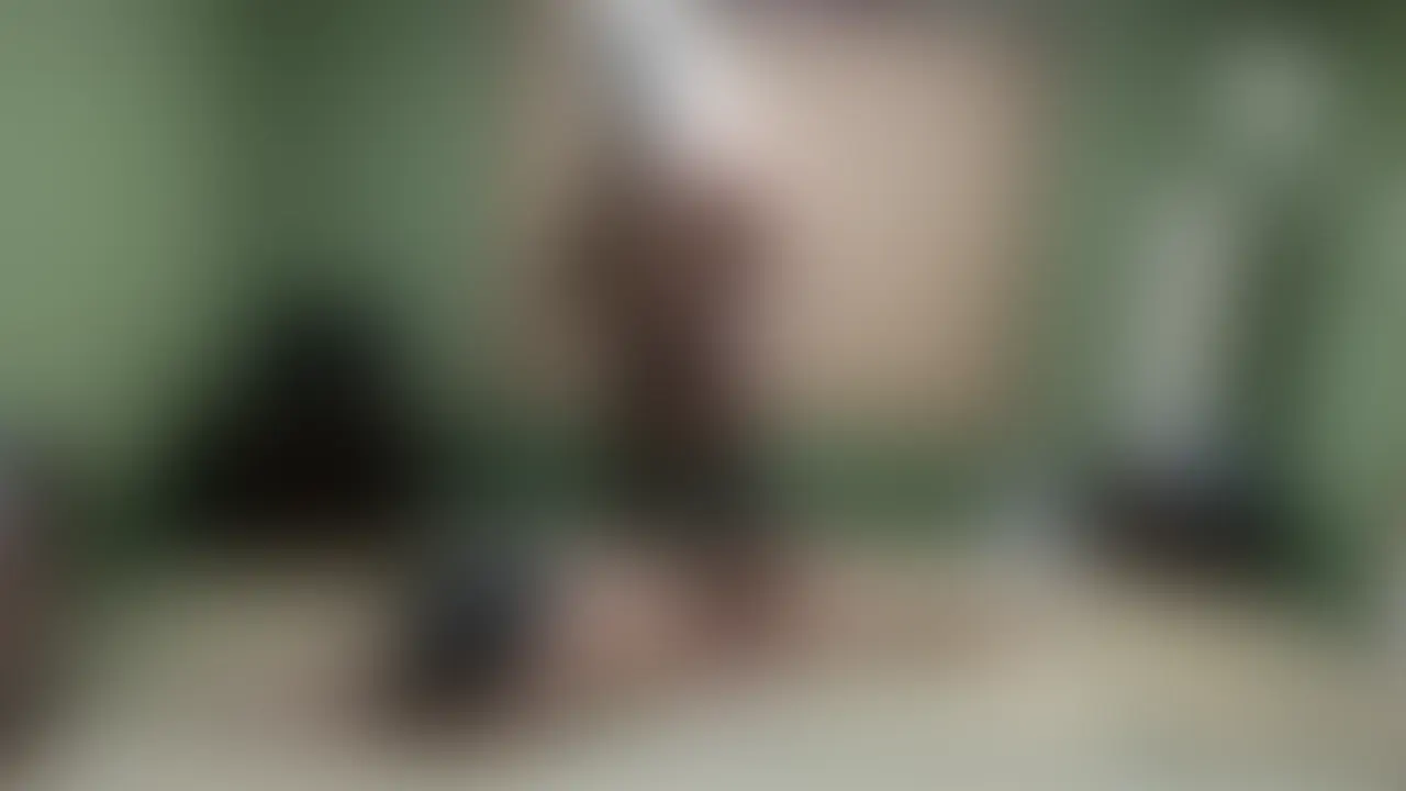 【虎マスクVS狼マスク1】 sample 1