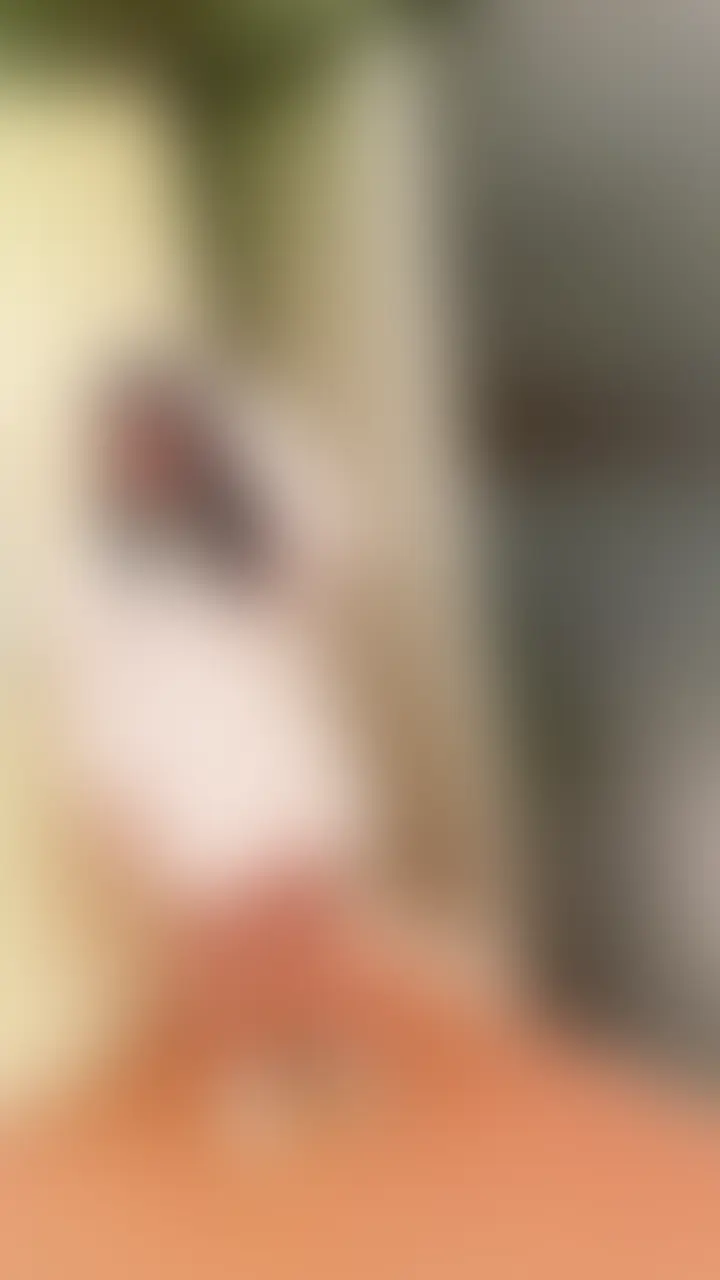 スマホ撮影 仕草が超可愛い子とハメ撮り！【素人個人撮影33】のスタンダード版です。
#ハメ撮り #立ちんぼ #パパ活 #個人撮影 #素人投稿 #素人 #フェラ #美乳 (2/2)