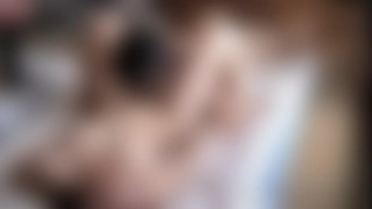 休日朝の営み撮影~イキすぎる嫁さんに中出し3回なんて当たり前~ https://myfans.jp/posts/76d184e0-a0eb-4533-8ab3-a2c6f53234c5?swipe=1&sort_key=publish_start_at (2/2)