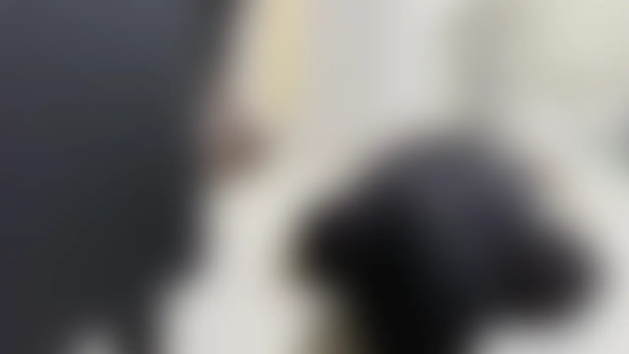 顔面騎乗 (2/2)