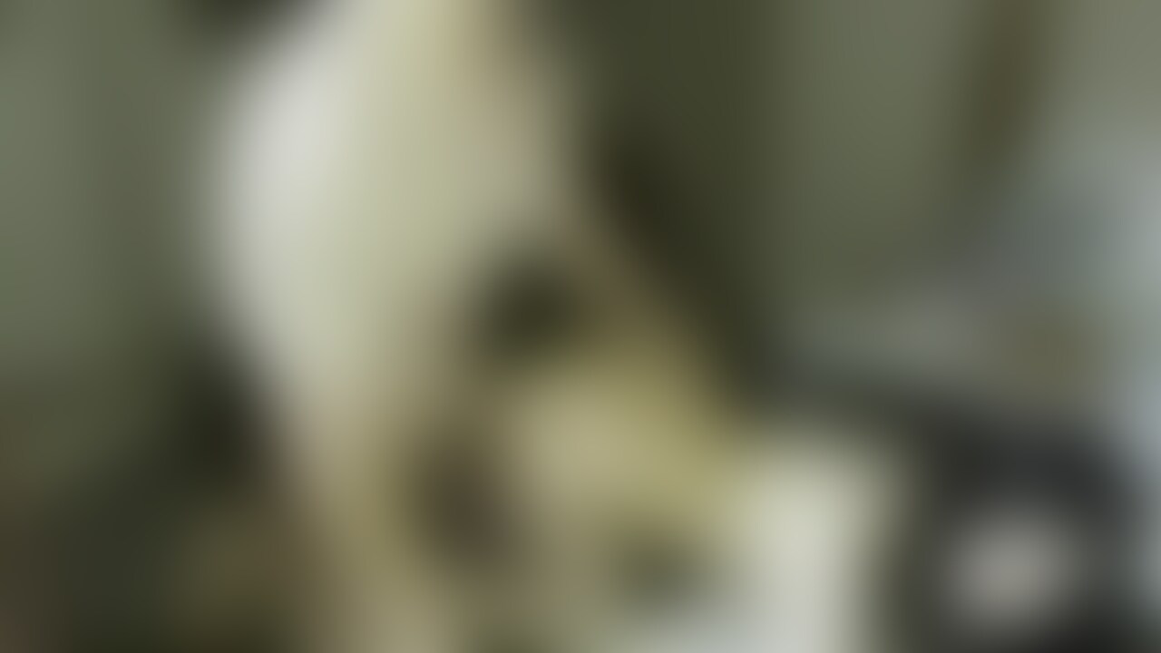 激しめのセックス (2/2)